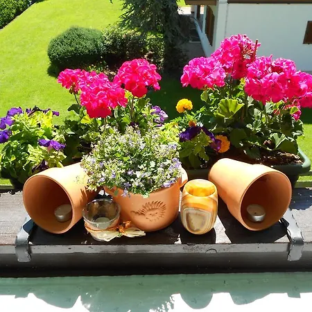 Maria Appartement Rotta